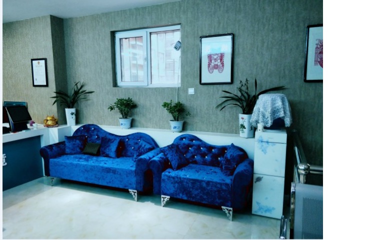 Continental phòng ngủ sofa cửa hàng vải đơn sắc đẹp nhỏ salon ba căn hộ nhỏ vận chuyển sofa chaise longue - Ghế sô pha sofa vintage