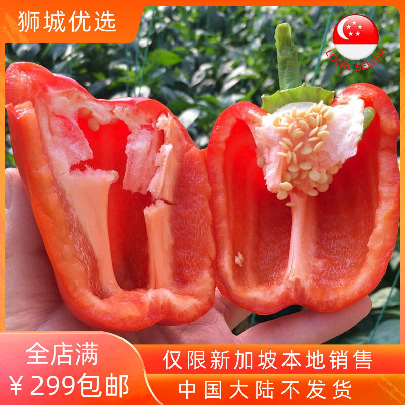 (Vegetable) Red bell pepper 1kg local shipment in Singapore