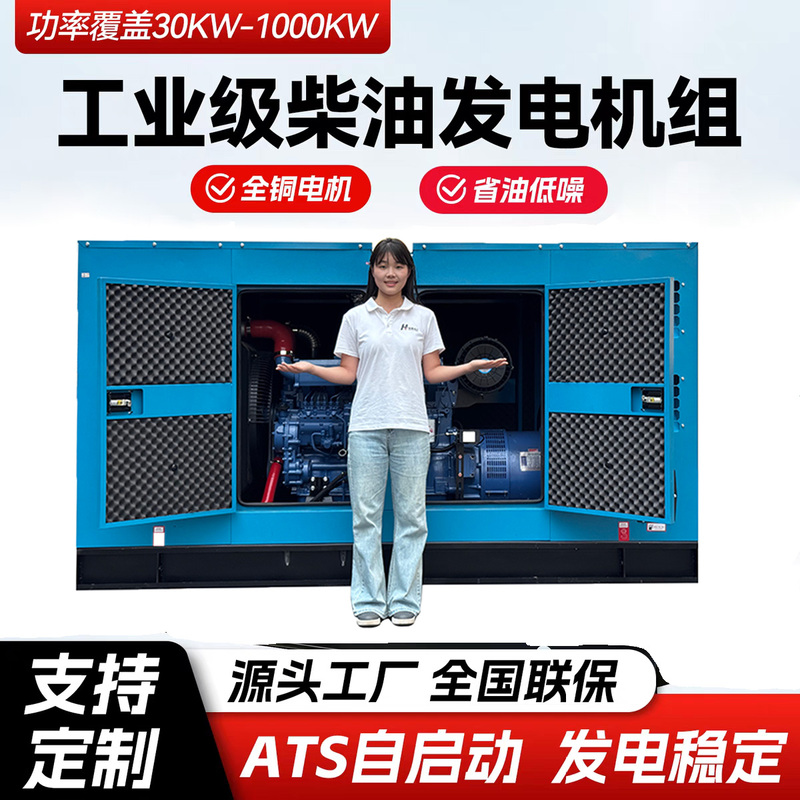 Industrial-Grade Diesel Generator Set Ats Self-Starting 380V Motor Fuel-Efficient Low-Noise Generator