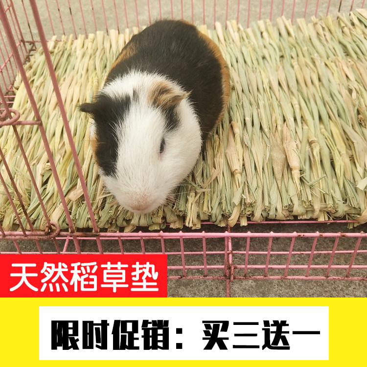 Pets Dutch Pig Feet Mats Summer Guinea Pigs Warm Straw Mats Cushion Ground Floor Warm Straw Over Winter Supplies Utensils-Taobao