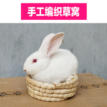Rabbit nest rabbit mat summer pet supplies household four seasons warm grass nest Dutch pig dwarf rabbit cage Mat supplies