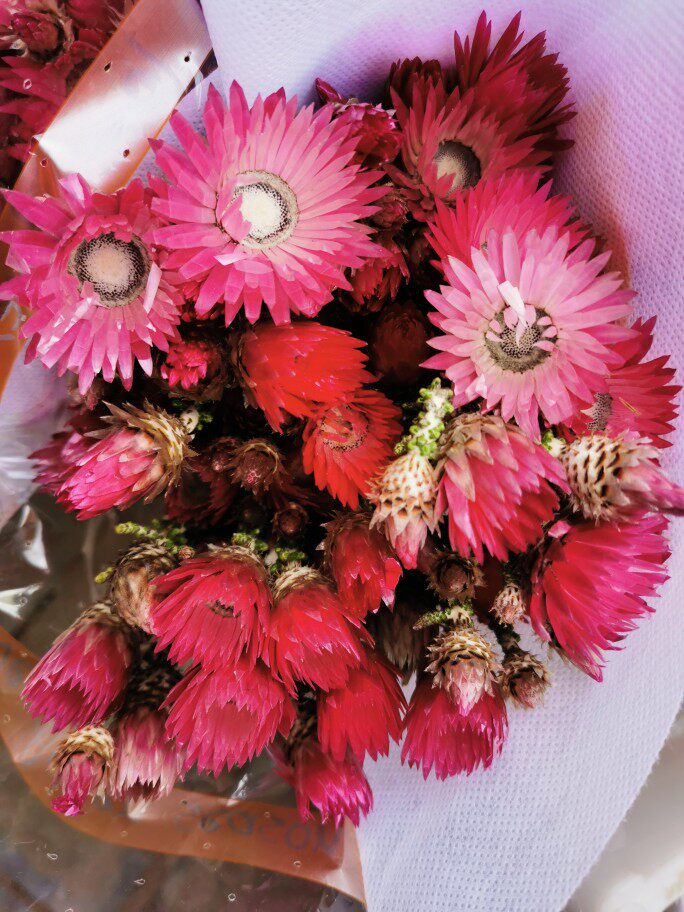 South African Princess Imperial Bouquet A variety of mix-and-match random bouquets can be dried to decorate the home bottle flower arrangement for SF