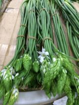 Bromei Flower Express Yunnan Kunming Flower Express