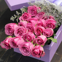 Yunnan flower base special express delivery flower basket rare rose purple shadow Rose hot sale