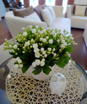 Yunnan Kunming Flower Express Family Company uses flower cut flowers Jasmine White