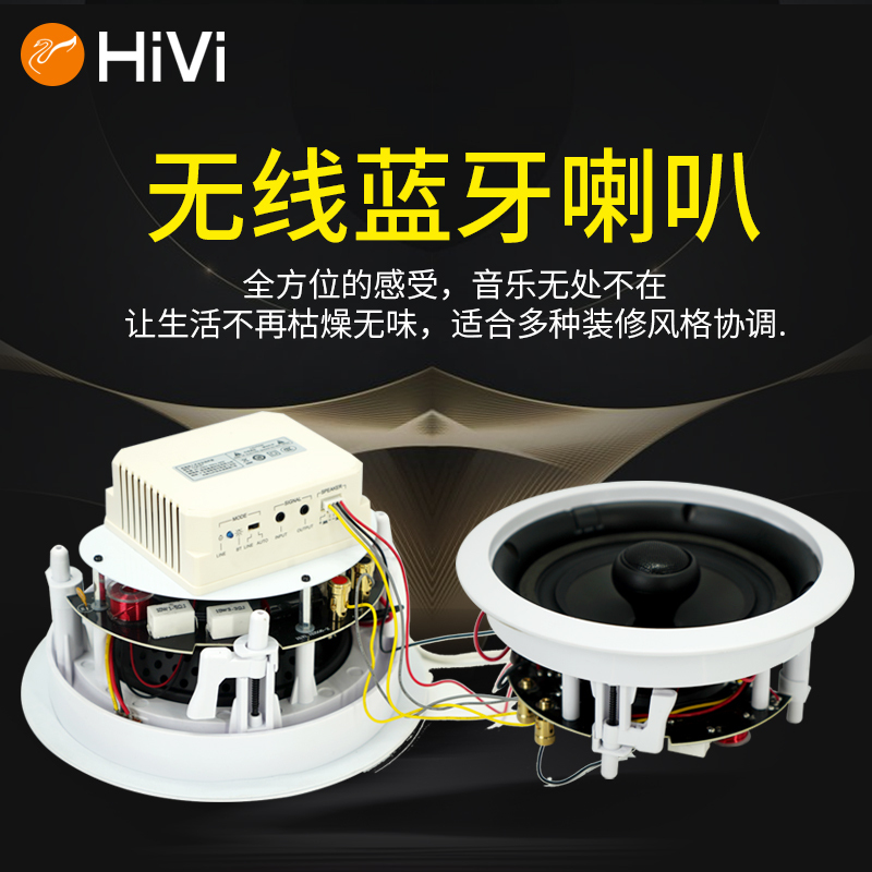 Hivi Wireless Bluetooth Speaker Main and Sub Speakers Set Public Address Stereo Bluetooth Ceiling Speaker