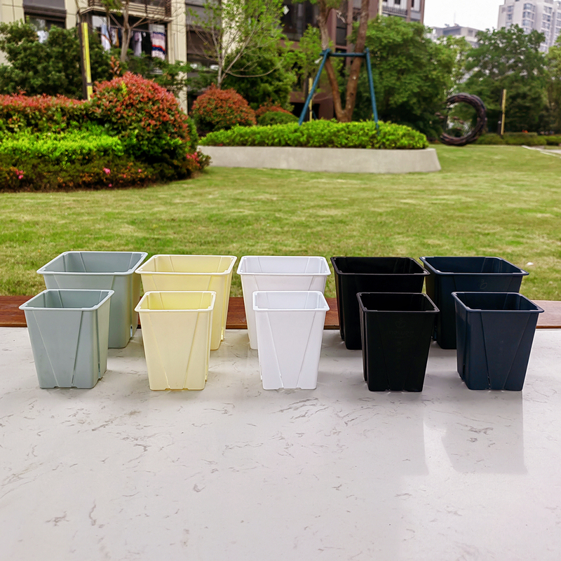 Miwei Thickened Succulent Flower Pot for Cactus, Lithops, and Jade Plants, Small Black Square Plastic Root Control Pot with Stand and Organizing Frame