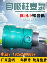 Axial plunger pump accessories high pressure large flow miniature 5MCY10MCY25MCY40MCY63ycy14-1b