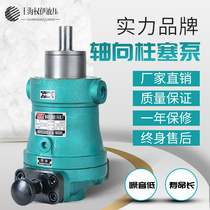 10SCY25SCY40SCY63SCY80SCY160SCY250SCY14-1B axial piston pump