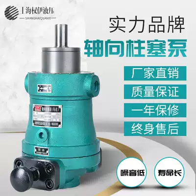10SCY25SCY40SCY63SCY80SCY160SCY250SCY14-1B Axial piston pump