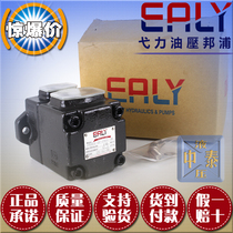 Yili quantitative vane pump EALY oil pump PV2R1-17-FRAA FRAB FRAR FRAR FRAL-10