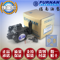Funan variable vane pump FURNAN oil pump Taiwan original VHP-F-40-A1 A2 A3 A4