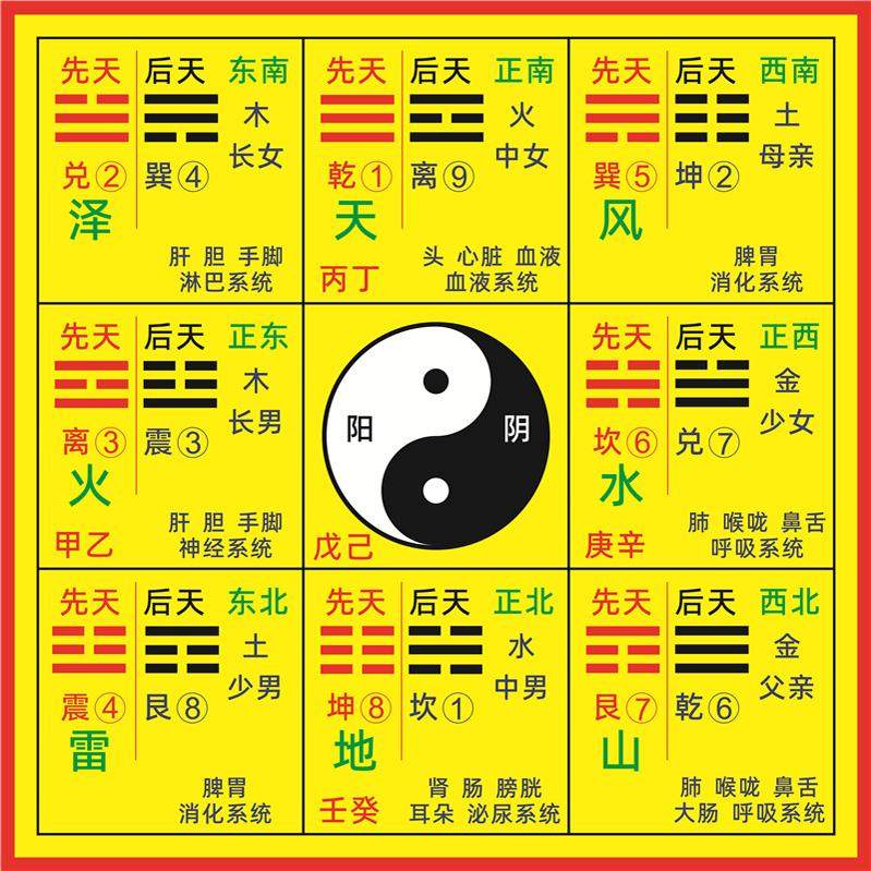 先天八卦后天八卦组合九宫图太极图 方位图易经学习知识 装饰画