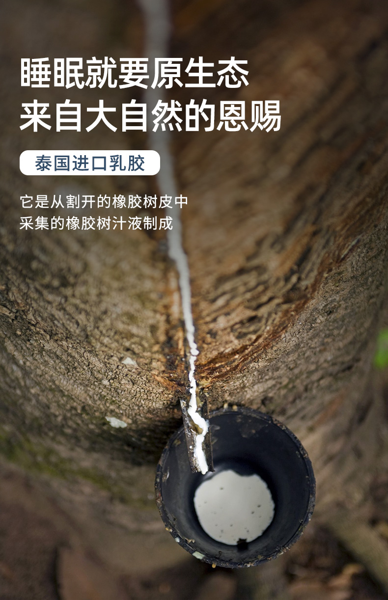 水星罗莱面料供应商 华福定制家纺 大颗粒乳胶按摩枕 图2