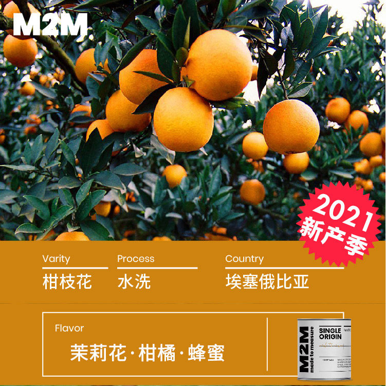 M2M Orange Spray Ethiopia Wash Yega Citrus Blend Ethiopian Coffee Bean 100g