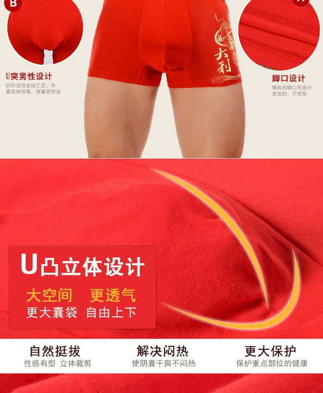 Năm con lợn, Quần lót lớn màu đỏ, Thanh niên nam, Đám cưới, Quần short XL, Boxer, Bốn góc