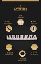 Chimei Black Overlord Mouth Organ 37 Keys Primary School Adults Special Playing Mouth Organ Imported Gongs Made in Qingdao