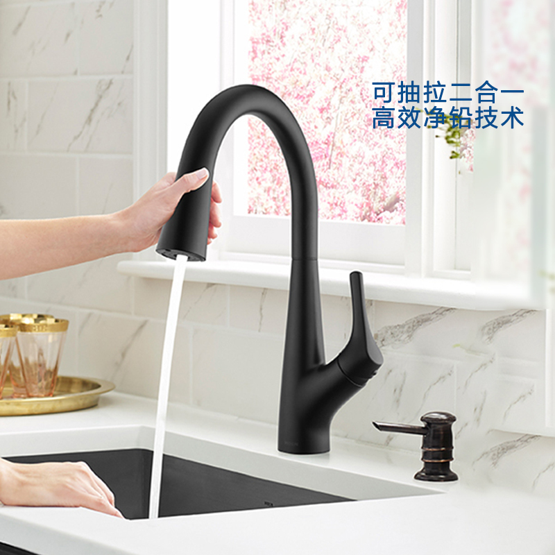Moen Water Purification 2-in-1 Kitchen Faucet Household Hot and Cold Water Faucet Pull-Out Rotatable Gn69700