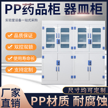 Double-door all-steel pp drug cabinet Reagent cabinet Clean sterile chemical vessel cabinet Laboratory furniture sample cabinet