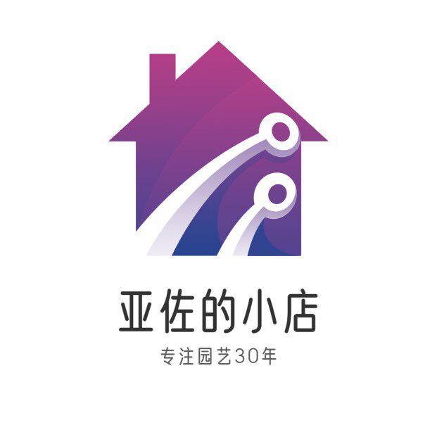 亚佐的小店2