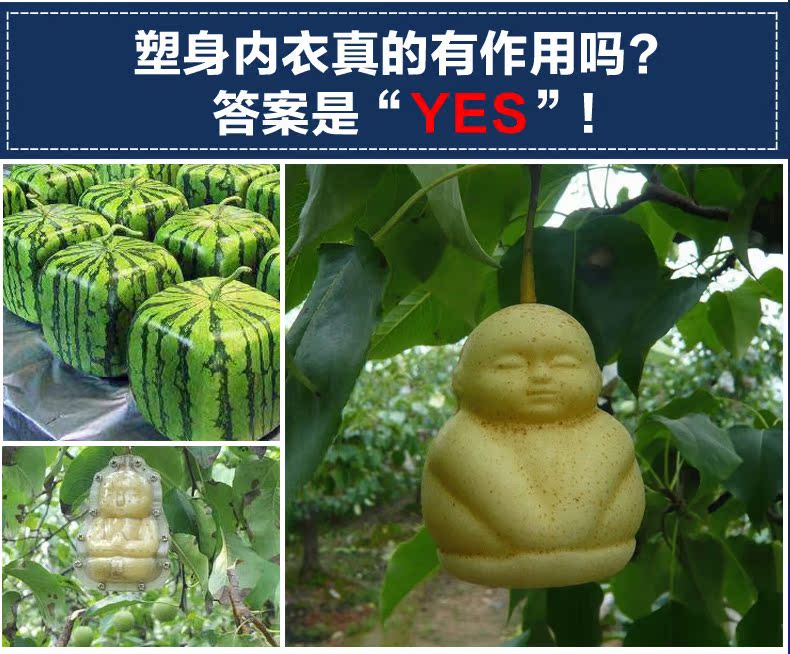 body amincissant PJ3158 en nylon - Ref 683358 Image 29