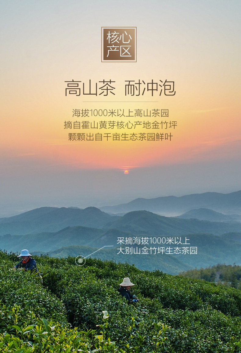 国家地理标志产品 抱儿钟秀 特二级霍山黄芽 220g 图3