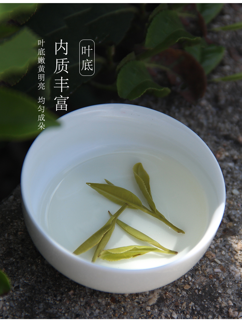 国家地理标志产品 抱儿钟秀  一级霍山黄芽 250g 图3