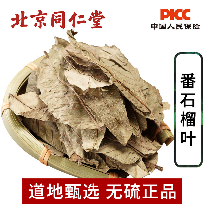 Guava Leaf Chinese Herbal Medicine 500g Genuine Wild Guava Tea New Arrival Guava Leaf Sugar-Free Tea Health Tea
