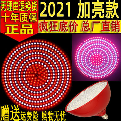 LED raw fresh light pork lamp halibut cooked food shop special light vegetables fruit light sold meat light Seafood Chandelia