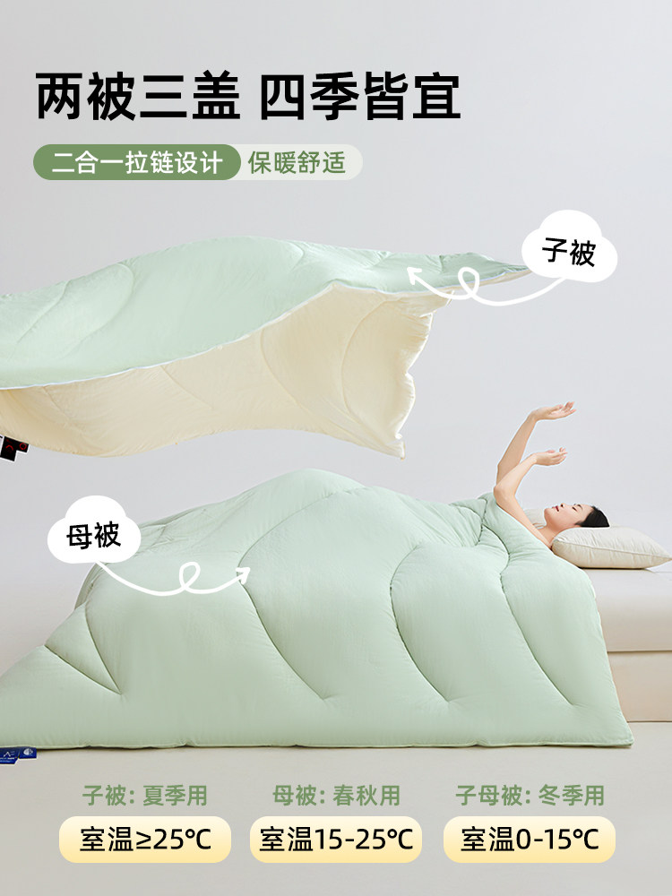 Two-In-One Zippered Quilt, Quilt Core, Double Thickened Winter Quilt, Spring and Autumn Quilt, Winter Cotton Quilt, Suitable for All Seasons