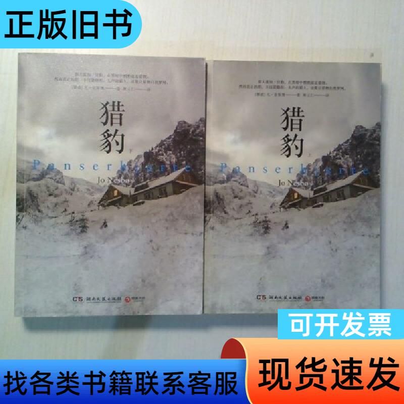 The Cheetah, Volume 1 and 2, by Yohannes Næsbo, Hunan Literature and Art Publishing House