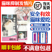 Kitty Forbidden Love Film Female Cat Suppression Film Public Cat Special Suppression Hair Time Drug Cat Romance Tamey To Be Called Still-menopausal Pink