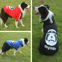 Large Dogs Clothes Pets Golden Hair Autumn Winter Clothing Medium Dog Smoryekhaschi Large Dogs Winter Necropolis