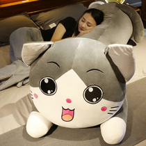 Cute cat doll Ragdoll Plush toy Cuddle bear doll Bed sleeping pillow girl Birthday gift