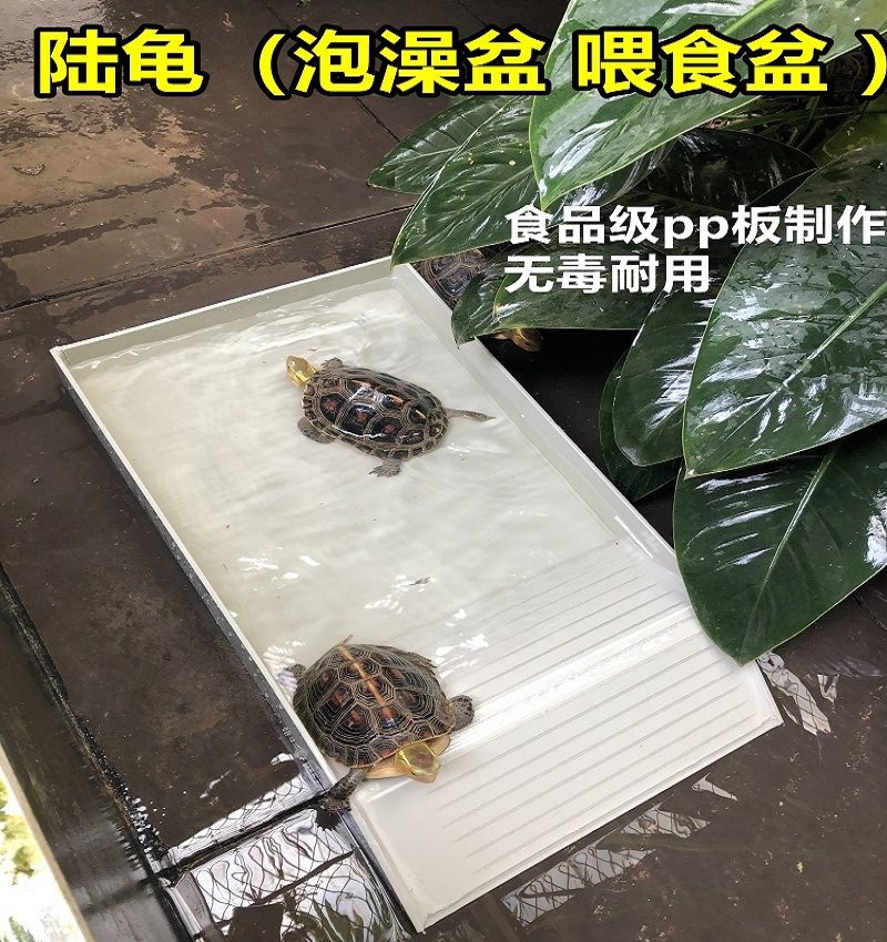 Tortoise bath tub Plastic turtle bath tub Yellow edge bath tub Turtle feeding water feeding tub Turtle sun table climbing table