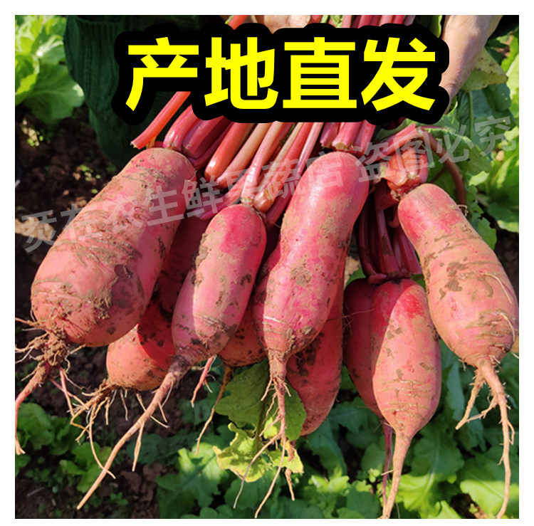 O1CN01zLcLsg1T3oHccoVrZ_!!2082442327.jpg