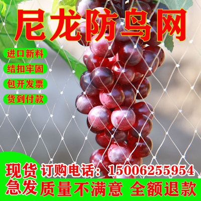 Orchard fruit tree bird-proof net grape cherry wolfberry rice anti-bird net fish pond breeding skynet nylon net bird-proof