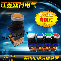 Jiangsu Shuangke(formerly Shanghai Shuangke)illuminated push button switch LAY50-22D-11TD self-locking