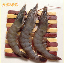 Zhanjiang wild fresh sea shrimp shrimp base shrimp shrimp shrimp seafood fresh live shrimp frozen shrimp 500g 16 pieces