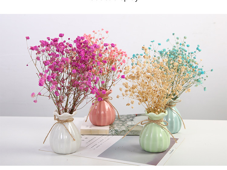 滿天星干花花瓶小清新陶瓷花瓶水培花瓶擺件文藝家居創意裝飾軟裝 Yahoo奇摩拍賣