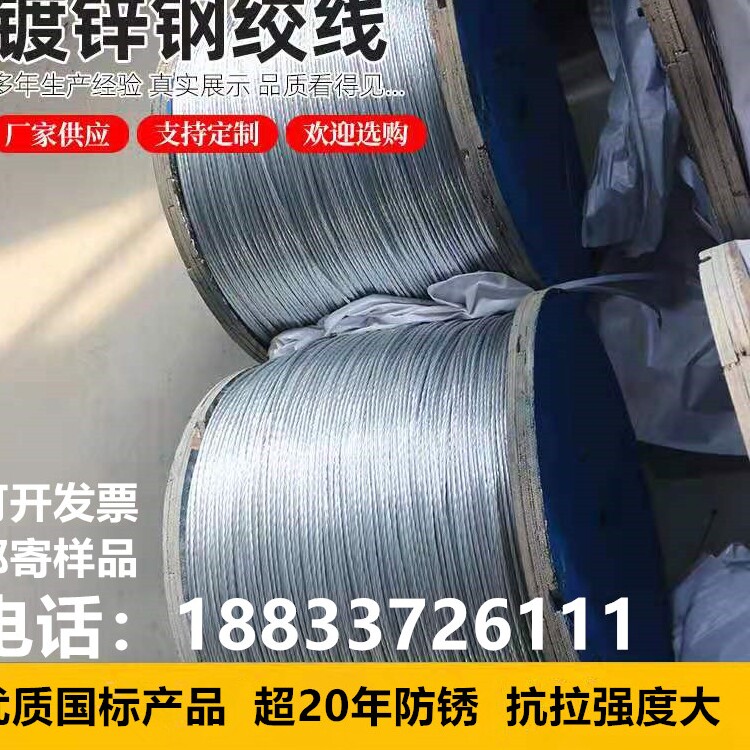 Hot-dip galvanized steel strand pull wire greenhouse dragon fruit grape rack kiwi pull wire stainless steel wire wire rope