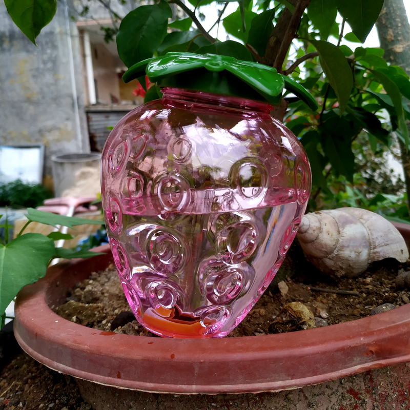 Automatic Watering Machine Theiner Sloth Man Watering Home Seepage Machine Drip Irrigation System Multi-Meat Shower Drip Sprinklers Sprinklers-Taobao