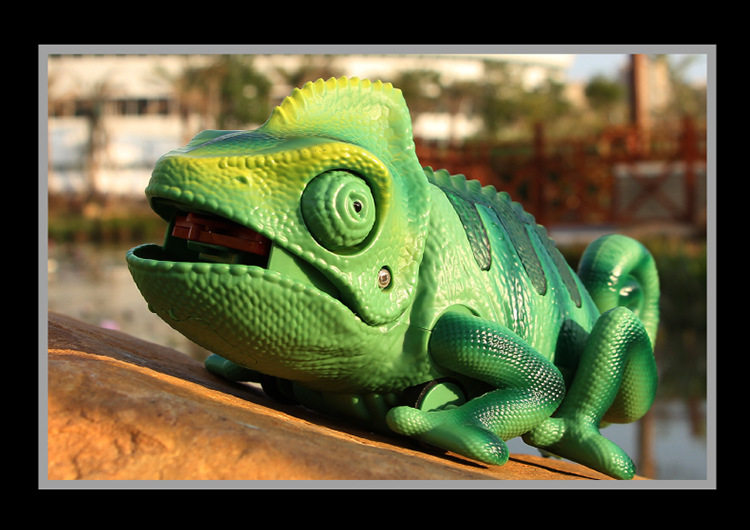 Электрический дистанционный контроль Lizard-750_20.jpg