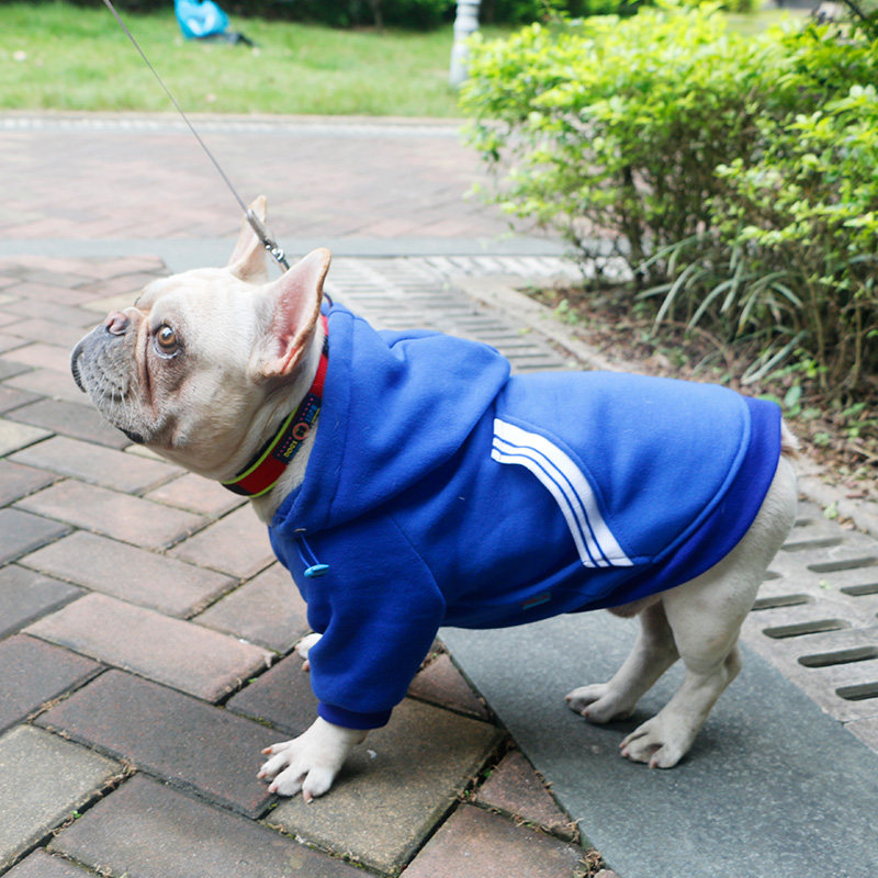 Fadou Clothes Dog Fall/Winter Small Dog Bull Dog Pet Autumn Dress Puppy Bulldog Fadow Wei Yi Dog Winter Dress