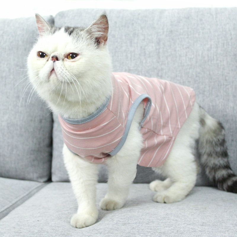 Cat clothes spring and autumn thin section small dog pet cat cat clothes anti-hair loss blue cat English short pet supplies