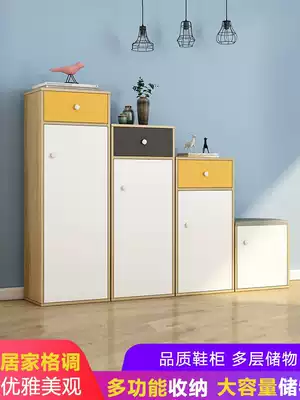 Household economical large-capacity shoe cabinet door ultra-thin dust-proof porch storage cabinet balcony simple modern multi-function