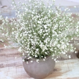 Звезды по всему небу, сухие цветы, сухой букет Yunnan, сухой букет, цветочный магазин, домашний офис, цветочный композиция, DIY Flower Mater