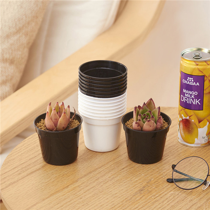 Plant plastic flower pots Small round pots Plant pots Multi-meat flower pots Simple green flower pots