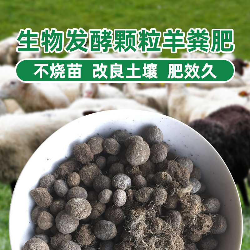 Dalin male chicken manure Sheep manure granular powder Organic fertilizer Biological bacteria fermentation slow-release granular fertilizer Flower fertilizer