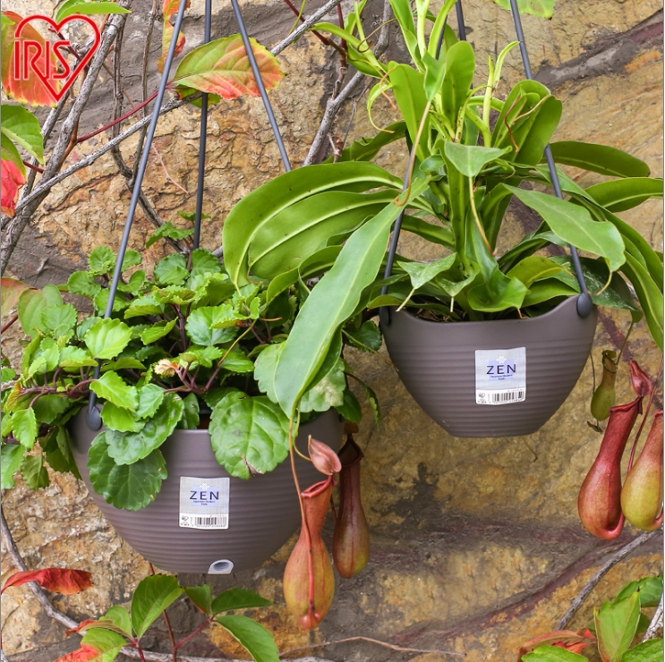 IRISIRIS ZEN chandelier wall-mounted bonsai flower pots medium environmental protection resin pituitary hanging plastic flower pots